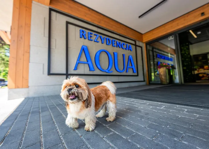 Aqua By Grano 4* Sklářská Poruba