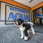 Aqua By Grano Sklářská Poruba
