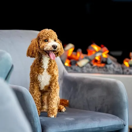 Aqua By Grano Apart Otel Szklarska Poreba