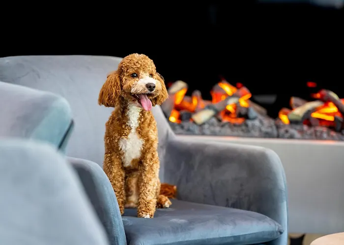 Aqua By Grano Aparthotel Szklarska Poreba